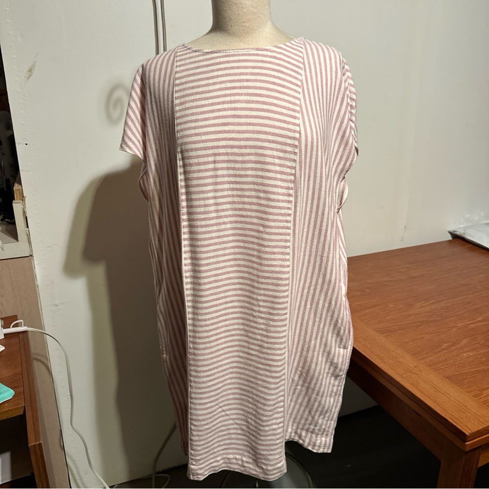 Madewell Pink Striped Dress
